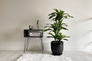 Odka Plant Pot, Black