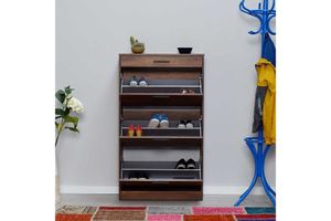 Flat Shoe Storage Cabinet With Pull Down Doors And Drawer