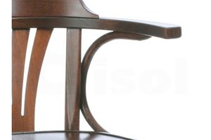 Arbol Verde Dining Chair, Walnut