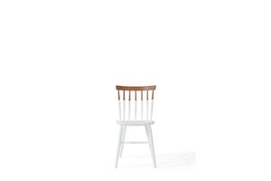 Venice Chair, White & Dark Wood