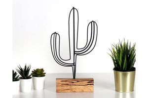 Cactus Decorative Object, Black