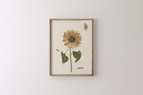AYÇİÇEĞİ ÇERÇEVELİ TABLO, AHŞAP