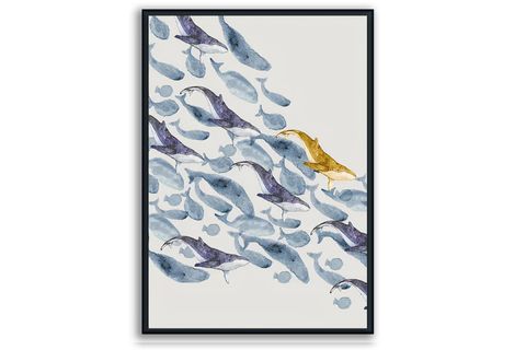 FRANK RAY 50X70 ÇERÇEVELİ DERİN MAVİ SET