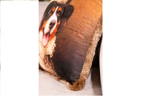 CUSHION KIRLENT 251