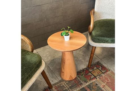 TEKLİ ZİGON MANTAR SEHPA MUSHROOM, KAYIN