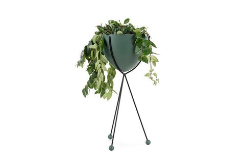 GLEE SAKSI 55 CM (UK İÇİN AÇILDI. ARAMA GÖRÜNÜRLÜĞÜ KAPALI KALMALI)