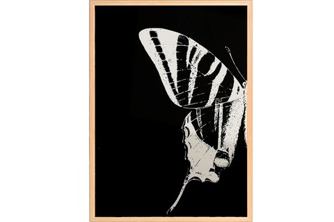 KELEBEK TABLO SETİ, 50X70