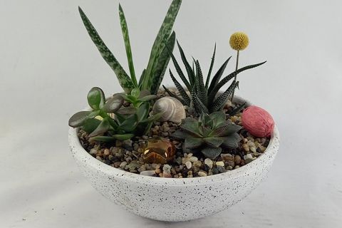 SUKULENT ARANJMAN NO 5