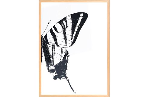 KELEBEK TABLO SETİ, 50X70