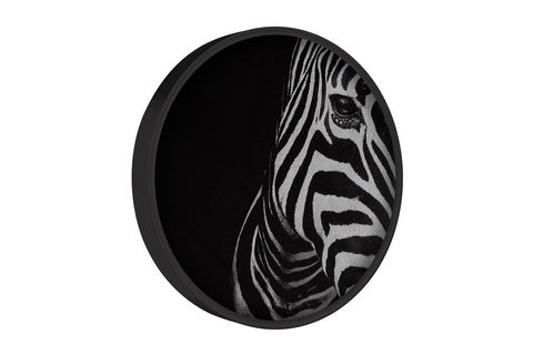 METAL ÇERÇEVELİ CİRCLE FRAMED ZEBRA EYE PARILTILI TABLO