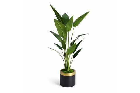 YAPAY STARLİÇE AĞACI İNCE YAPRAK, 165 CM