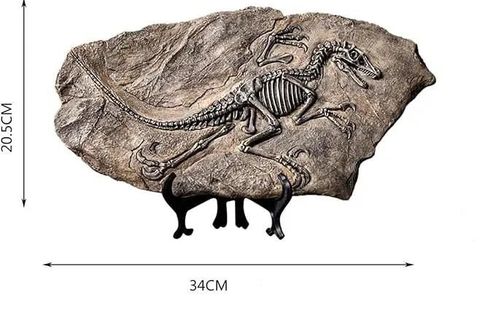 VİNTAGE T REX DİNOZOR FOSİL DEKOR