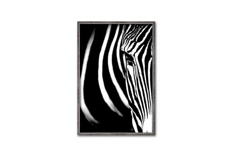 ÇERÇEVELİ ZEBRA EYE 1 PARILTILI TABLO