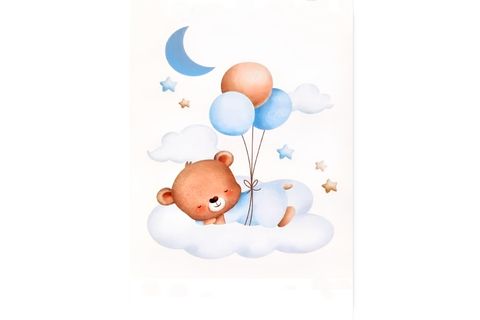 BLUE BABY FRANK RAY KANVAS SET, 50X70