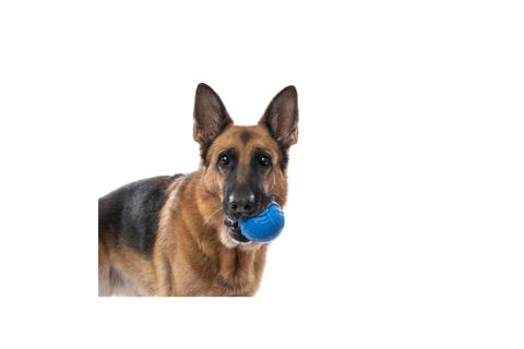 PALLA RUGA KÖPEK ÇİĞNEME OYUNCAĞI