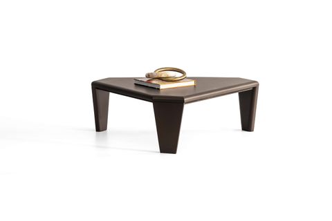 TORTUGA BRONZ ORTA SEHPA