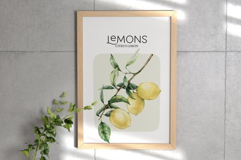 OLIVES&LEMONS İKİLİ ÇERÇEVELİ TABLO