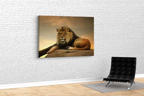 TABLO360 ASLAN KANVAS TABLO 80X120