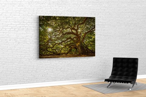 TABLO360 MELEK MEŞESİ KANVAS TABLO 60X90