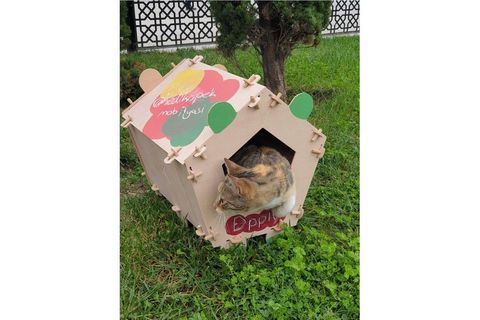 KEDİ EVİ PROJESİ