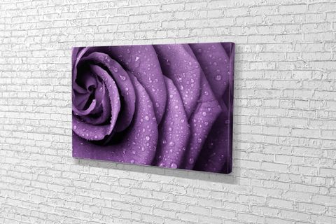 TABLO360 GÜL KANVAS TABLO 60X90