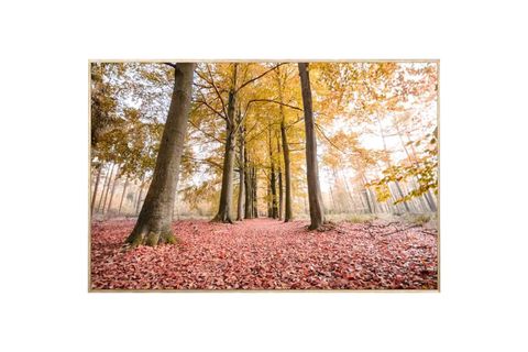 SONBAHAR KANVAS TABLO, ÇERÇEVELİ, 80X120