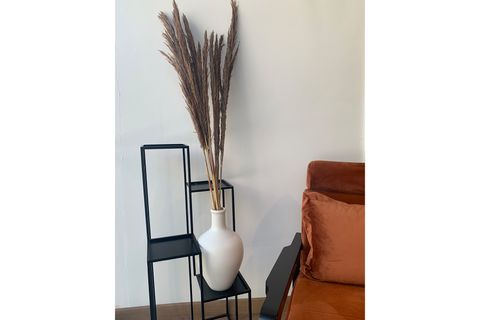 KURU ÇİÇEK PAMPAS, KAHVERENGİ