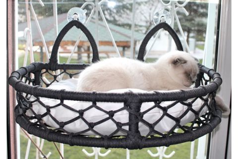 CEDRİC KEDİ CAM ASKILI VANTUZLU KEDİ YATAĞI, ANTRASİT