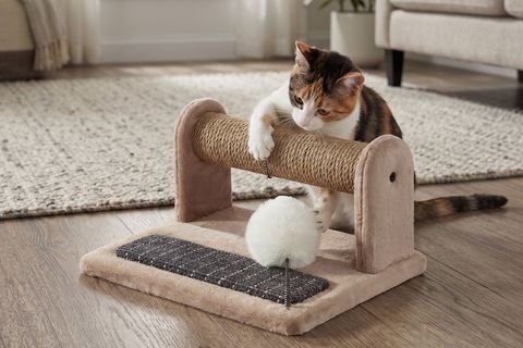 JİMMY KEDİ TIRMALAMA AĞACI, BEJ