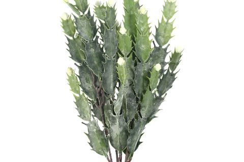 YAPAY ÇİÇEK DEKORATİF BİTKİ 40 CM