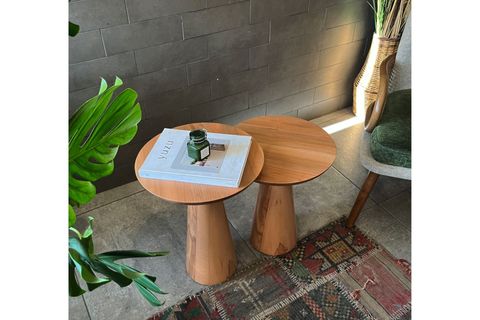 ZİGON MANTAR SEHPA MUSHROOM, İKİLİ, KAYIN