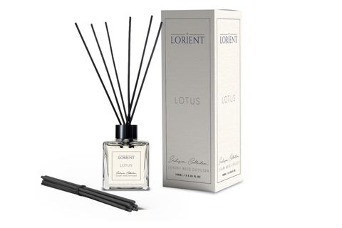 DFN HOME LORIENT LOTUS ÇUBUKLU ODA KOKUSU, 100 ML