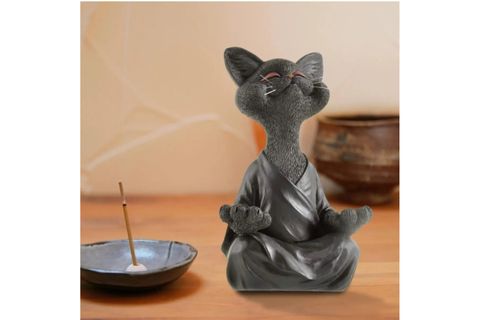 YOGA YAPAN KEDİ BİBLO, SİYAH