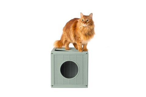 QUBLO KEDİ KÖPEK EVİ