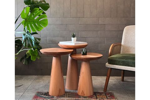 ZİGON MANTAR SEHPA MUSHROOM, ÜÇLÜ, KAYIN