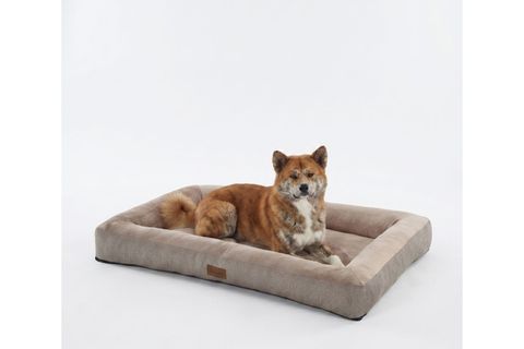 AKİTA KEDİ KÖPEK YATAĞI BEJ, SMALL