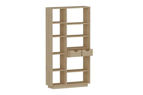 ARNETTİ LUMA 10 BÖLMELİ 2 DOLAPLI MODERN KİTAPLIK SAFİRMEŞE - LUMA