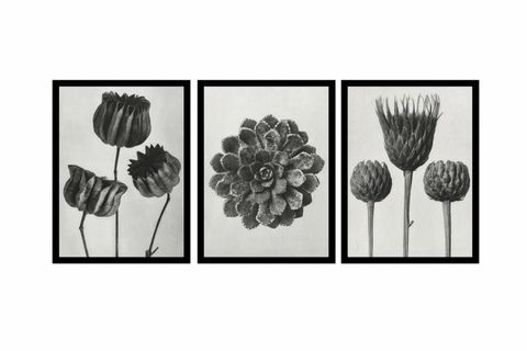 TABLOSAN ÇİÇEKLER ÜÇLÜ TABLO SETİ, ÇERÇEVELİ, 20X30, C04000004