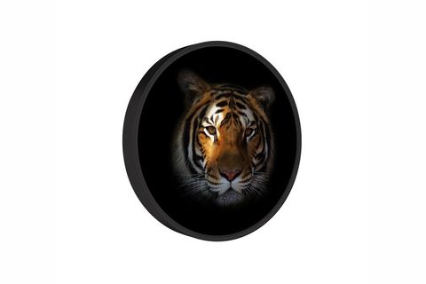 METAL ÇERÇEVELİ TİGER LEOPARD DUVAR PANOSU İKİLİ SET