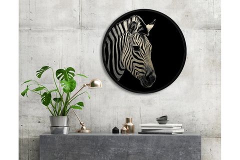 METAL ÇERÇEVELİ CİRCLE FRAMED ZEBRA EYE 2 PARILTILI TABLO