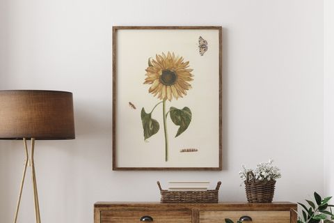AYÇİÇEĞİ ÇERÇEVELİ TABLO, AHŞAP
