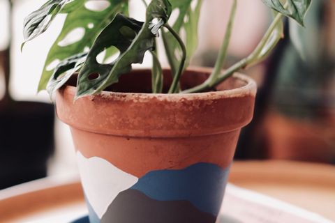 TERRACOTTA SAKSI, MAVİ GRİ