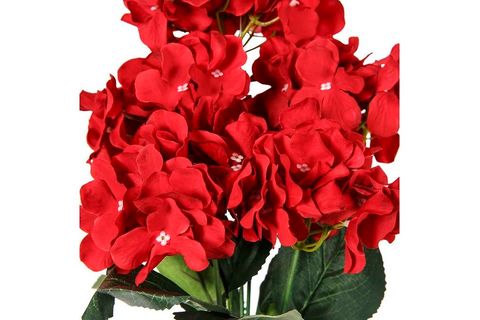 KIRMIZI MENEKŞE DEMETİ 20X50 CM