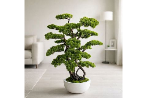 BONSAİ AĞACI, 120 CM