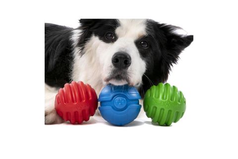 PALLA RUGA KÖPEK ÇİĞNEME OYUNCAĞI