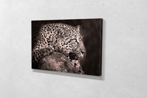 TABLO360 LEOPAR KANVAS TABLO 100X150