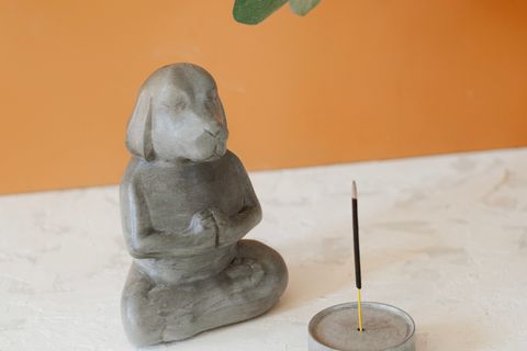 BETON MEDİTASYON KÖPEK TÜTSÜLÜK