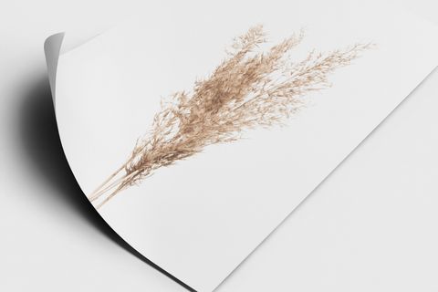 PAMPAS TABLO SETİ, SİYAH ÇERÇEVE TABLO SETİ 33X48