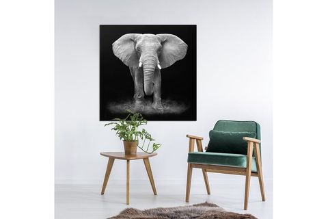 FİL KANVAS  TABLO HAFİ-6391 100X100CM