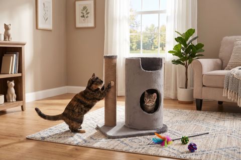 PRENSES KEDİ TIRMALAMA AĞACI
